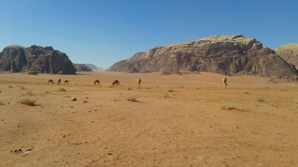 Wadi Rum Beduland Camp Exterior photo