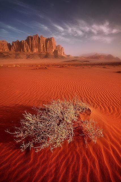Wadi Rum Beduland Camp Exterior photo